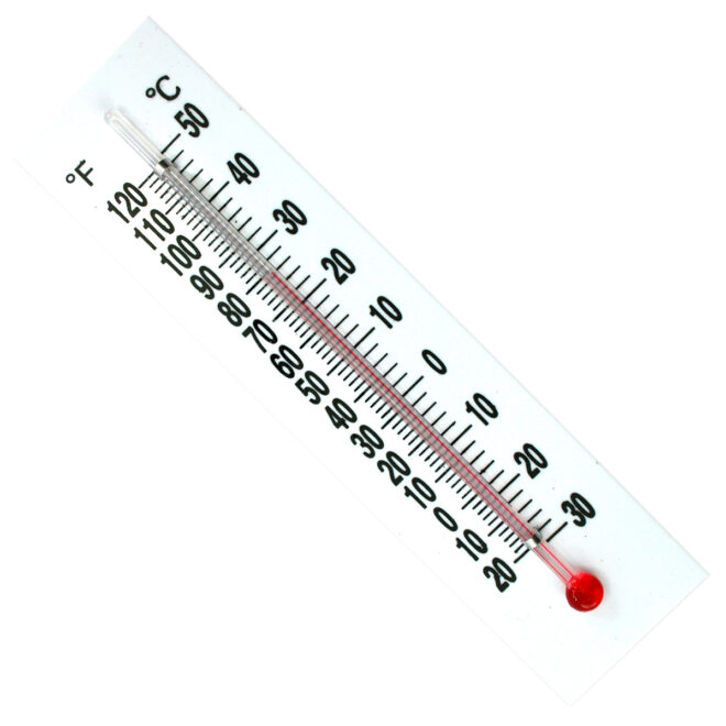 Plastic Backed Thermometer
