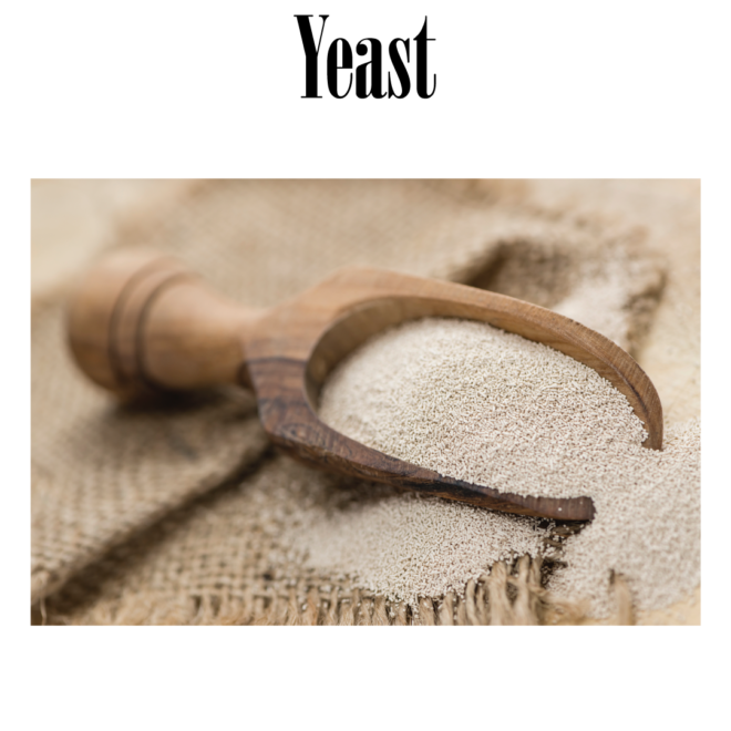 Yeast